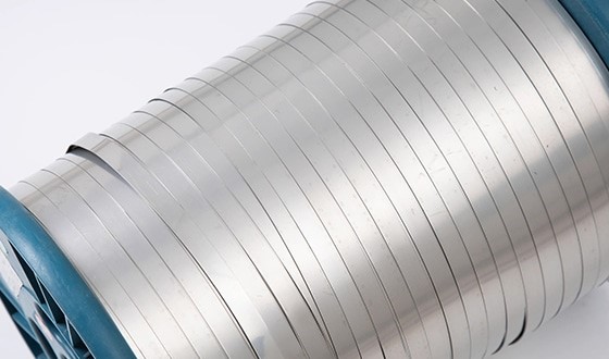 Stainless Steel Strip